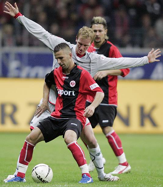 到他们的发 到他们的发